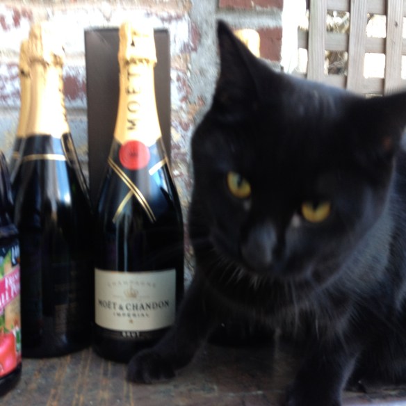 Amazon and Champagne