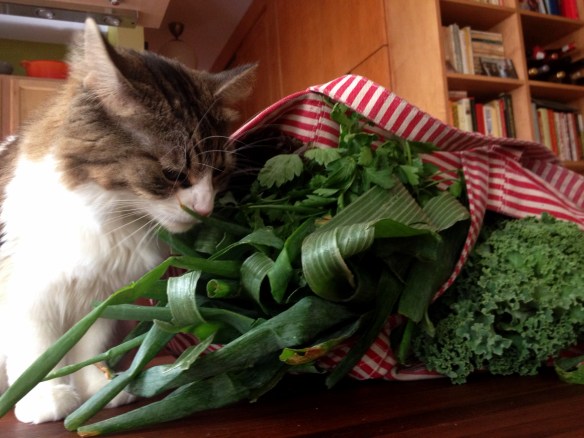 Oona and Veggies