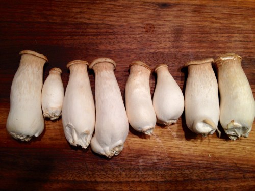 King Oyster Mushrooms