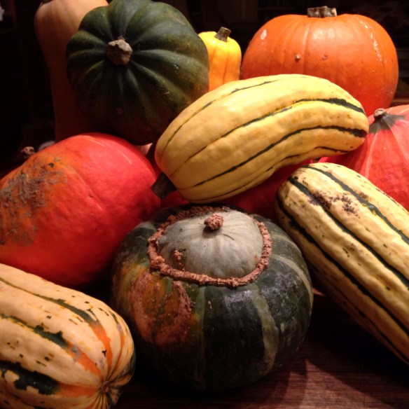 Squash Overload