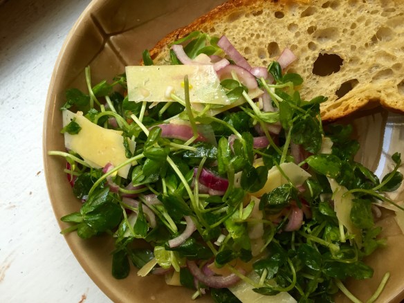 Pea Shoots Red Onion Dairyere