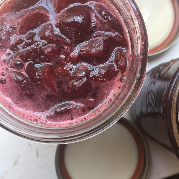 Cherry Rhubarb Champagne Preserves Hot